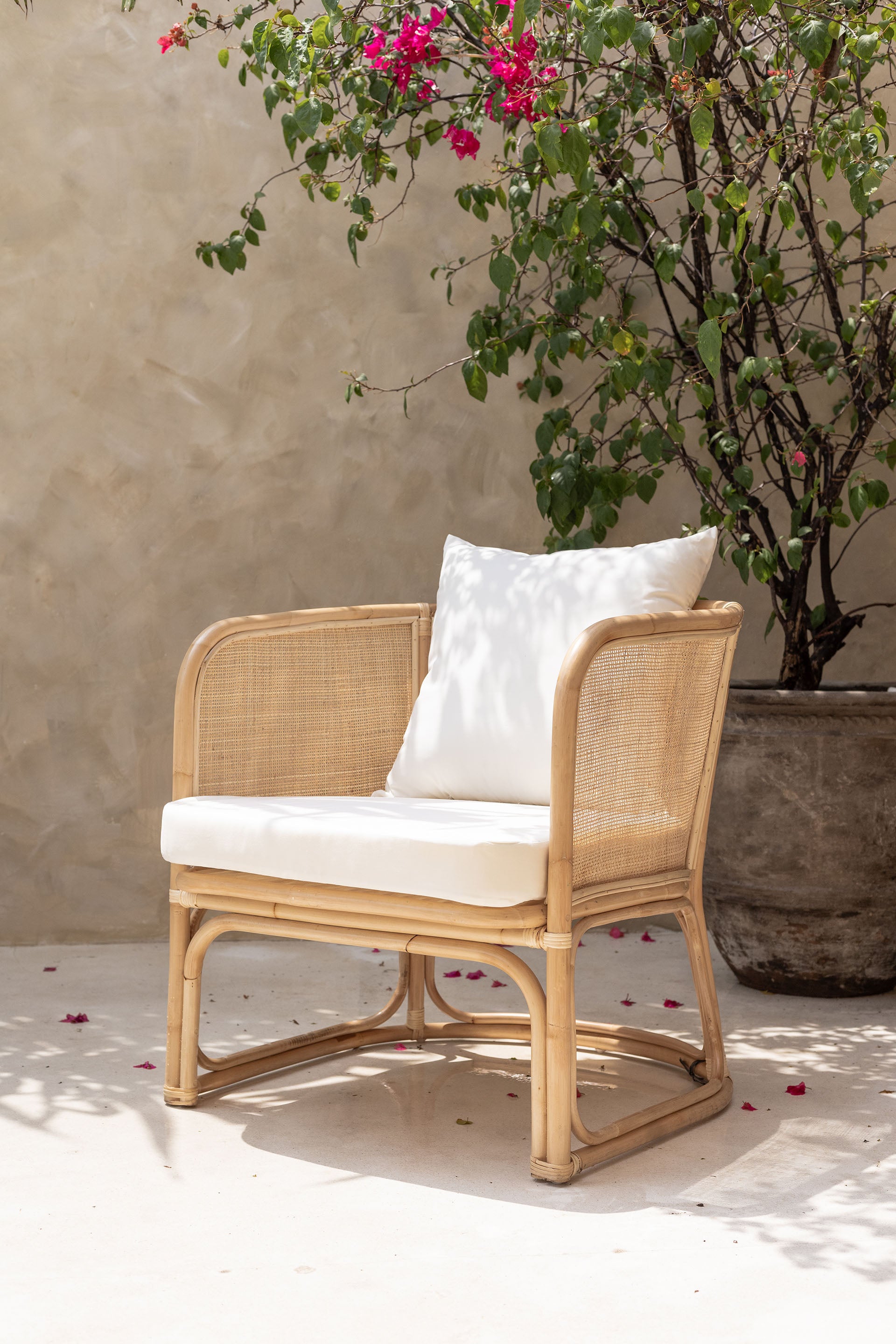 Melissa Jane Rattan Chair IN STOCK NOW