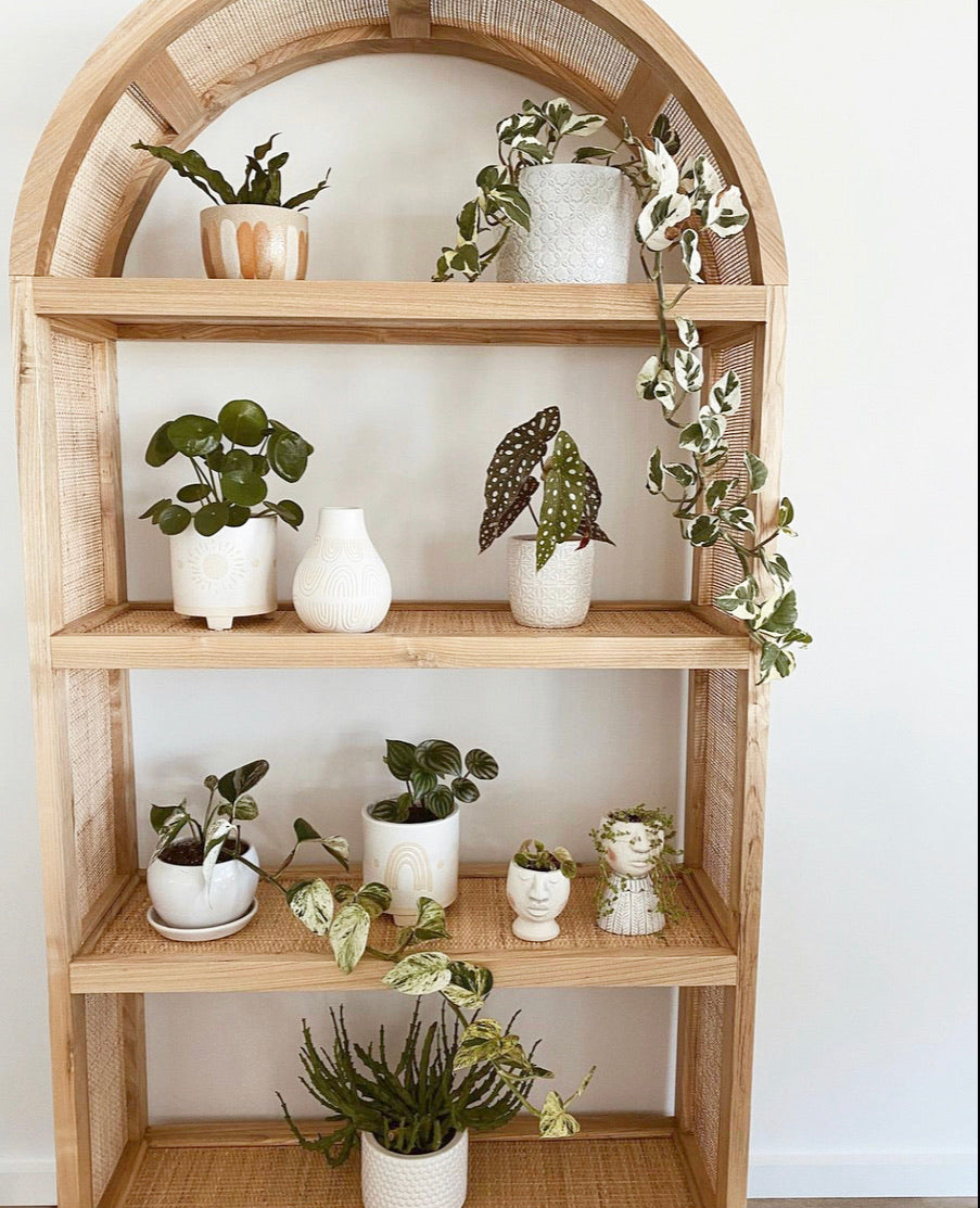 Hannah rattan and timber shelves 1 IN STOCK NOW
