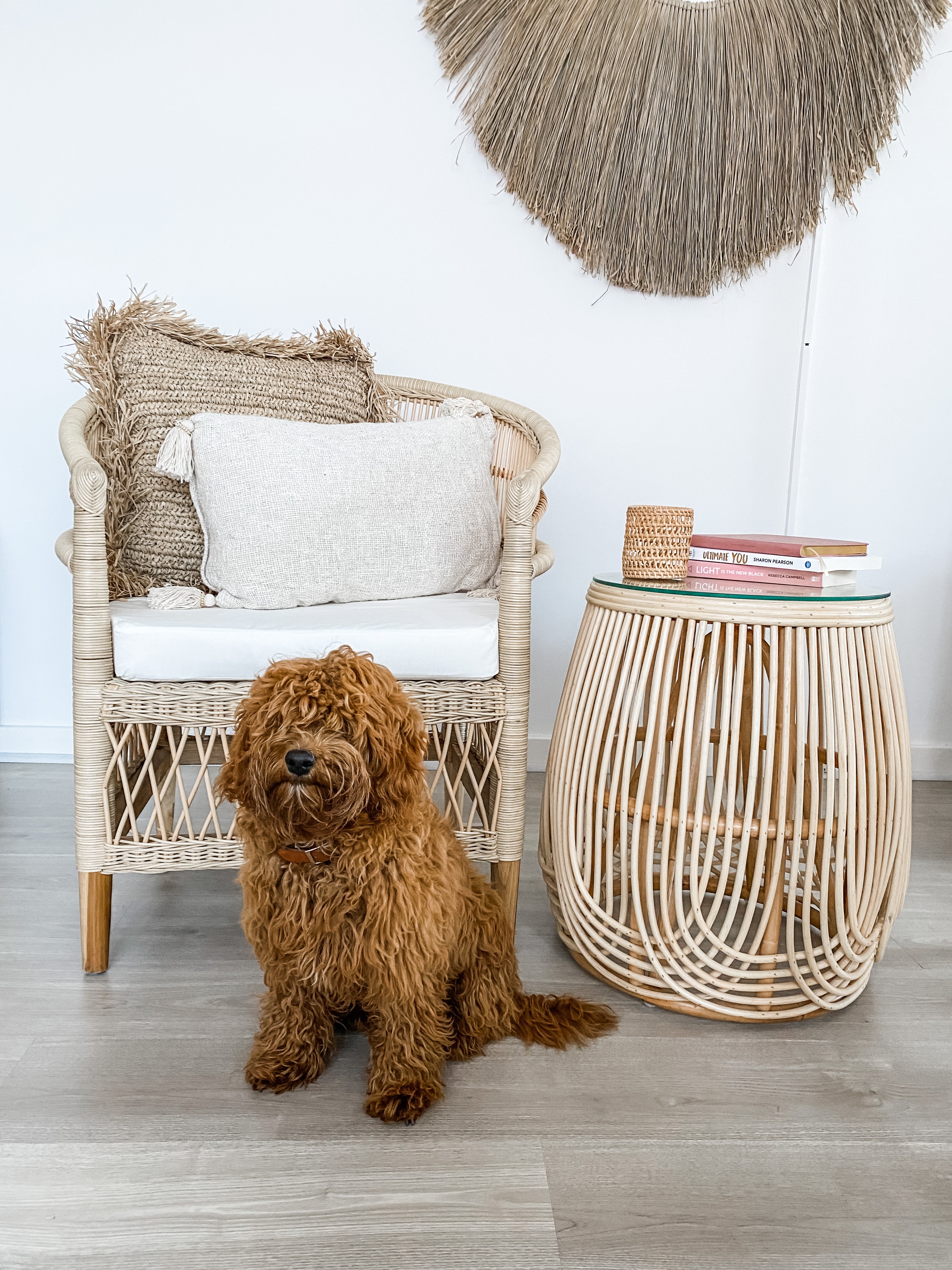 Malawi Rattan Chair IN STOCK