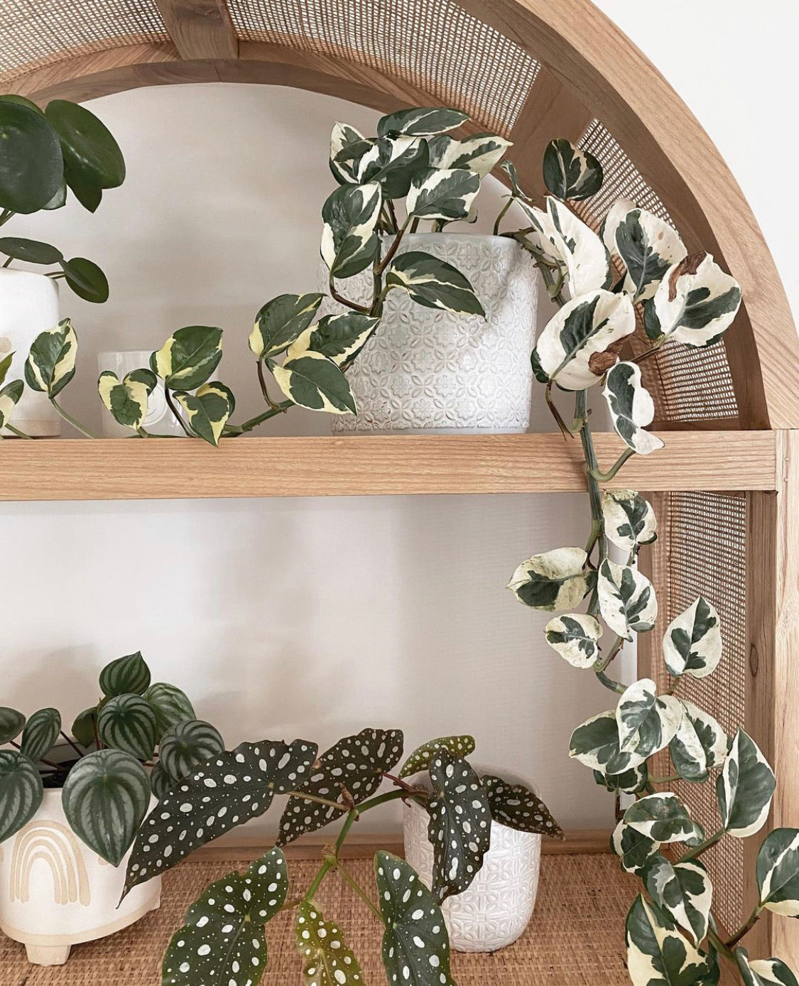 Hannah rattan and timber shelves 1 IN STOCK NOW