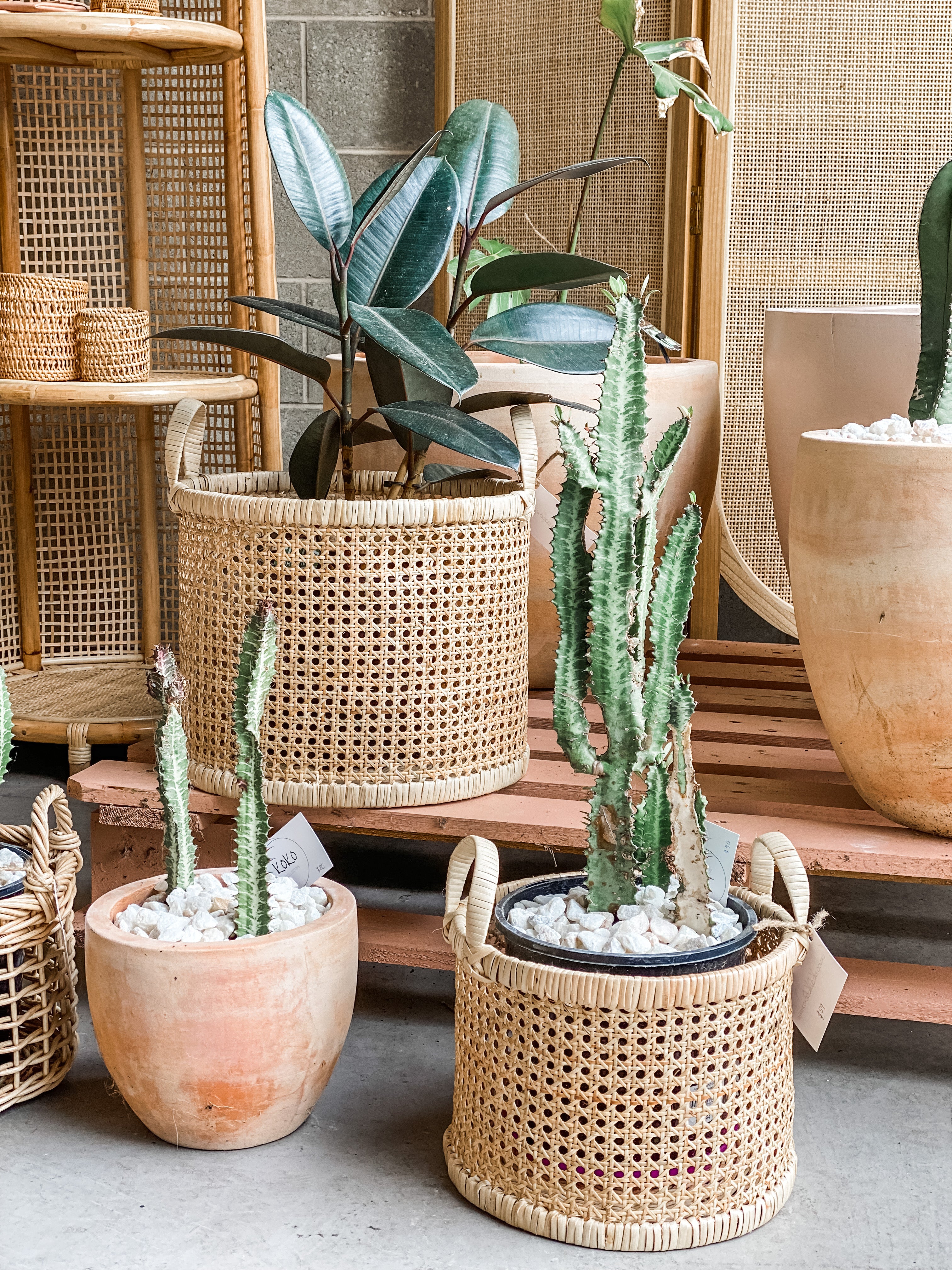 Rattan Basket