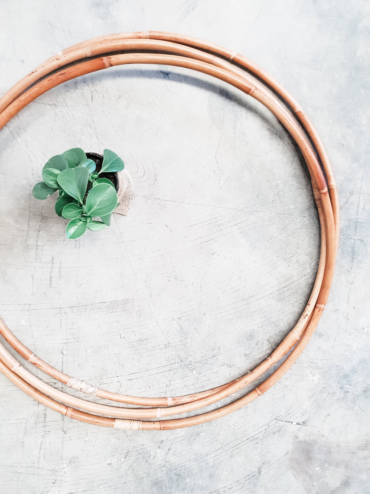 Rattan Hoop