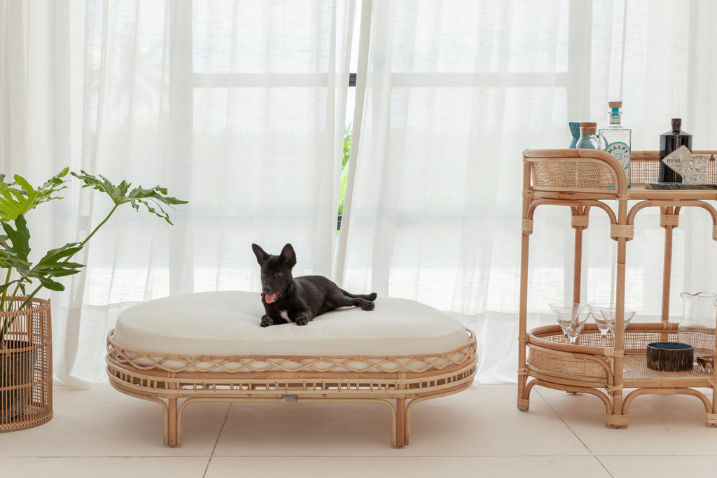 Tips to Creating a Stylish Pet-Friendly Home via Pets For Homes