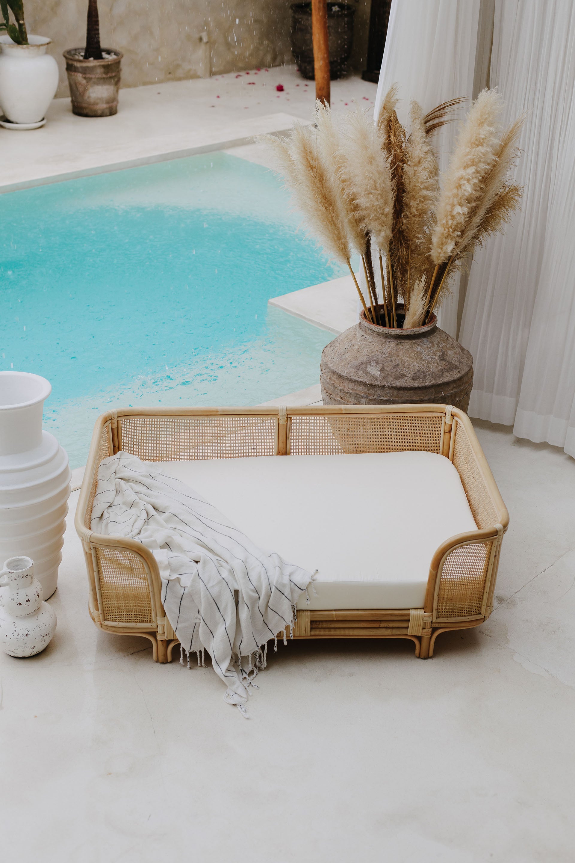 Ralf Rattan Dog Bed