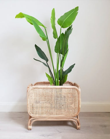Lenny Plant Stand
