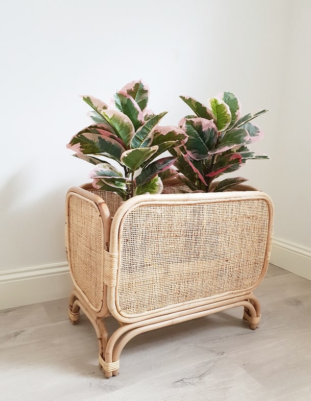 Lenny Plant Stand