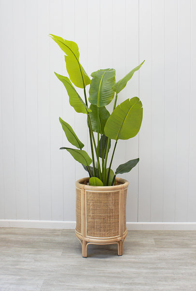 Macey Plant Stand