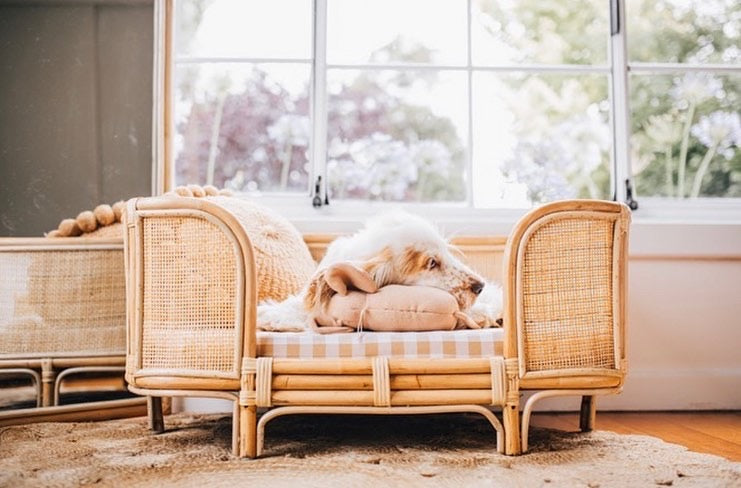 Ralf Rattan Dog Bed