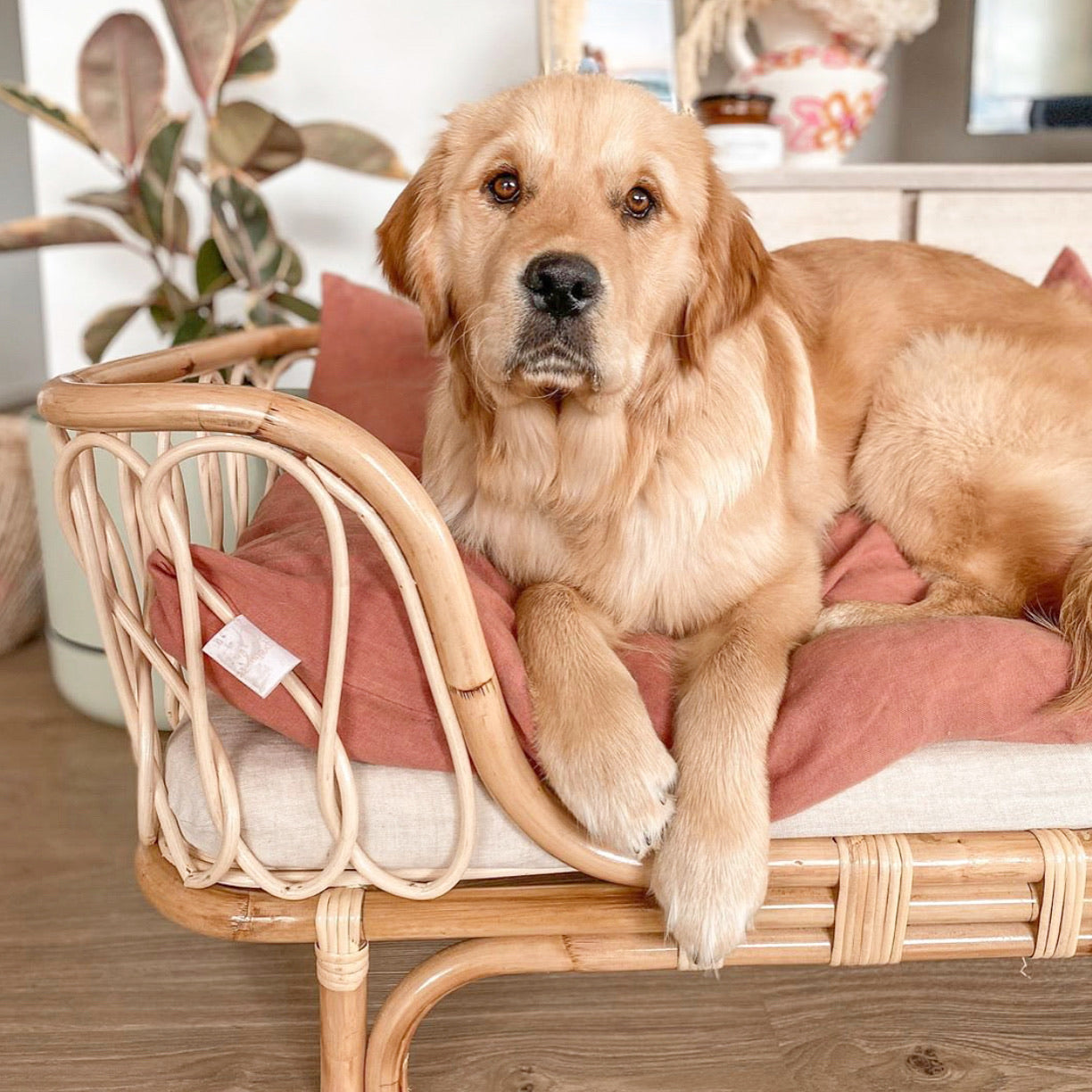 Molly Rattan Dog Bed