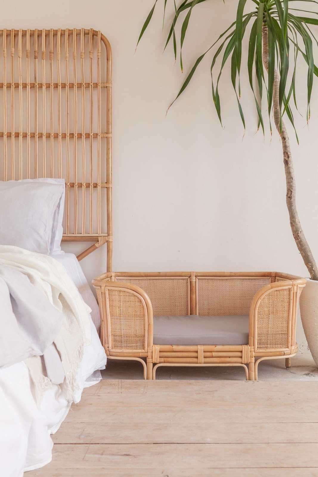 Ralf Rattan Dog Bed