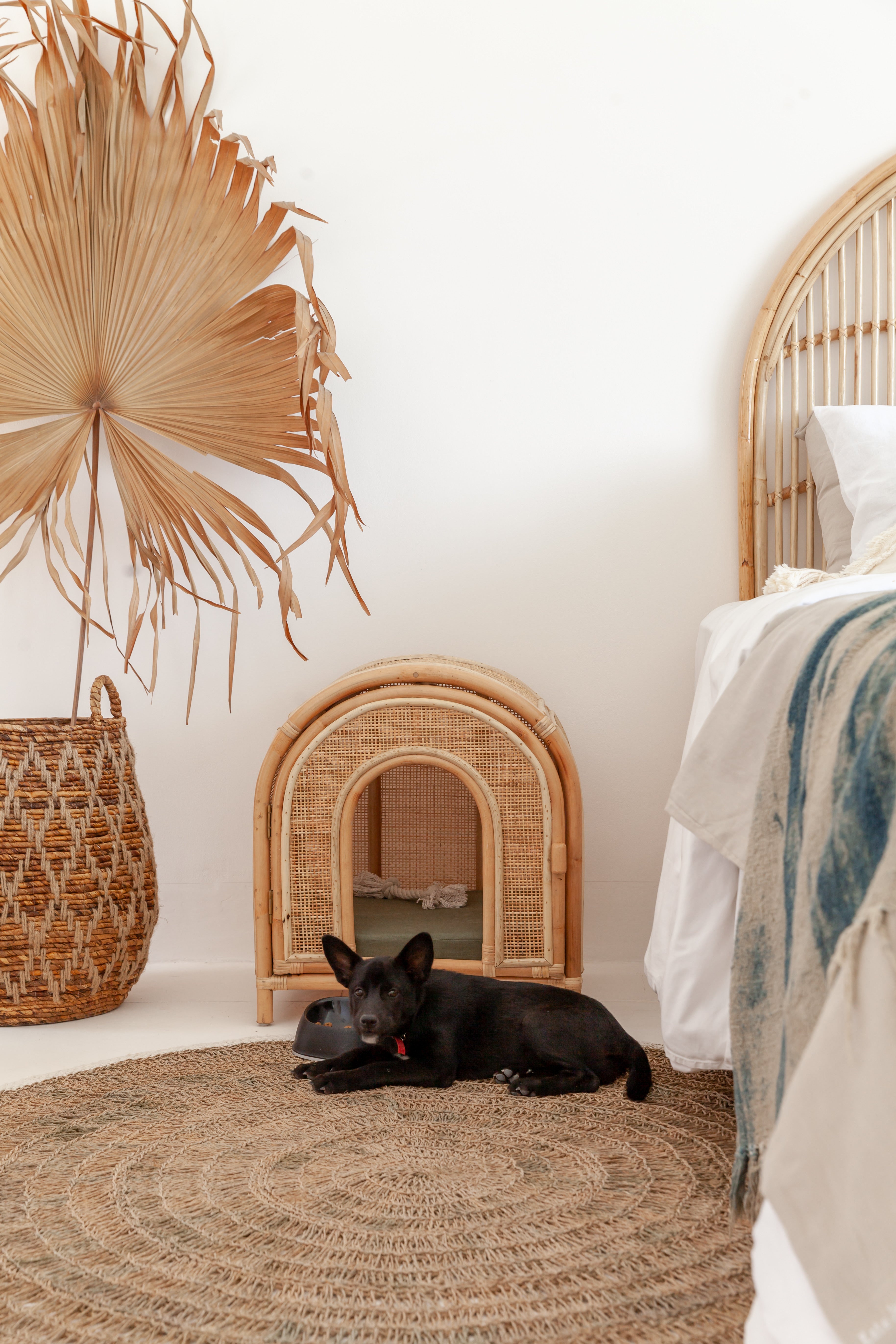 Felix Rattan Pet Bed BACK IN STOCK
