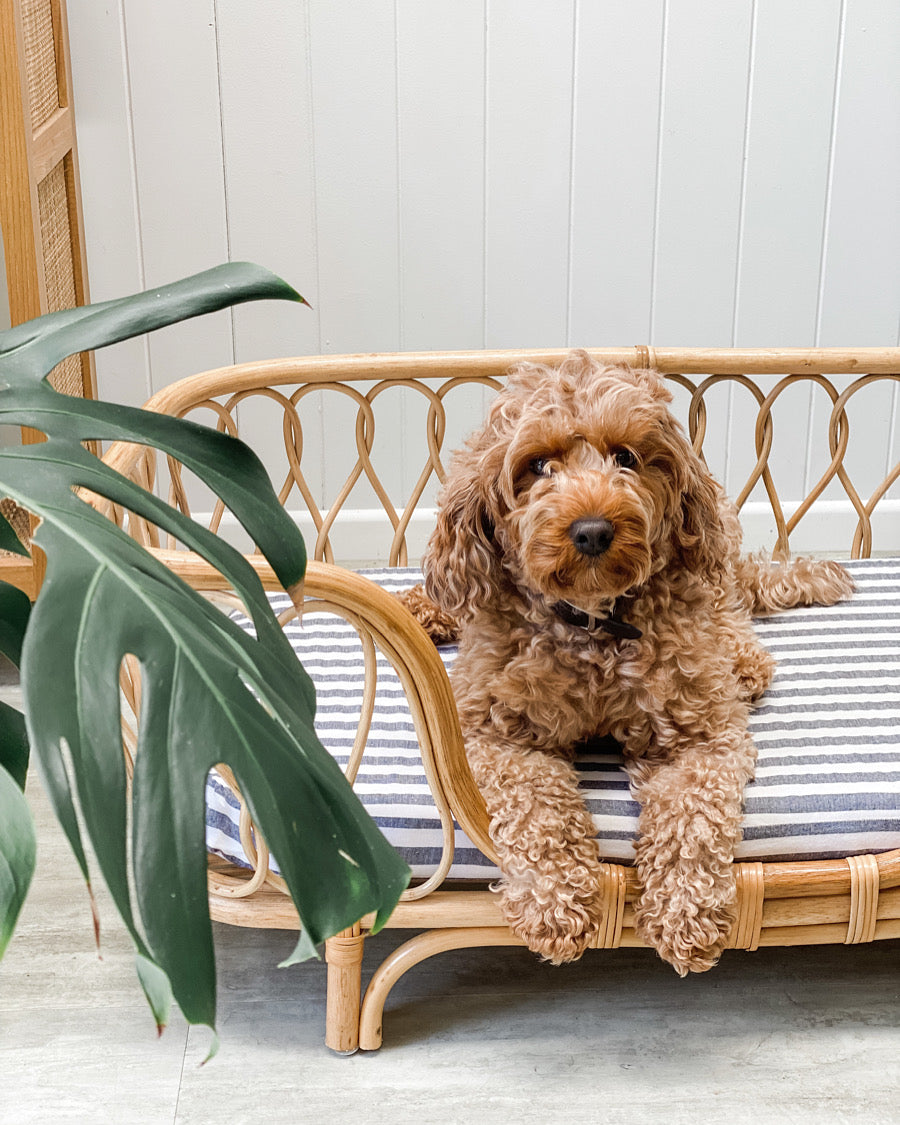 Dog Bed Sheet - Small