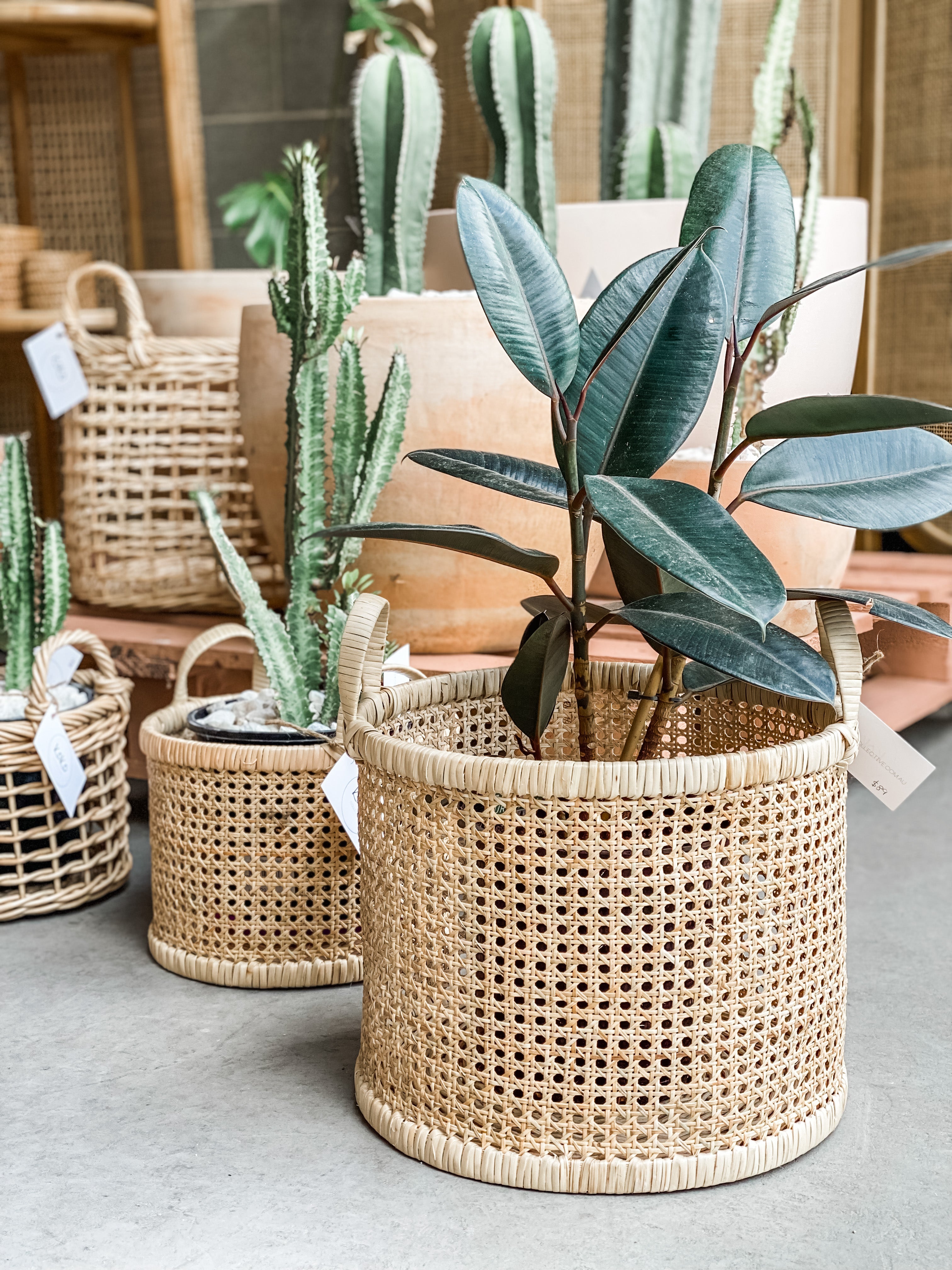 Rattan Basket