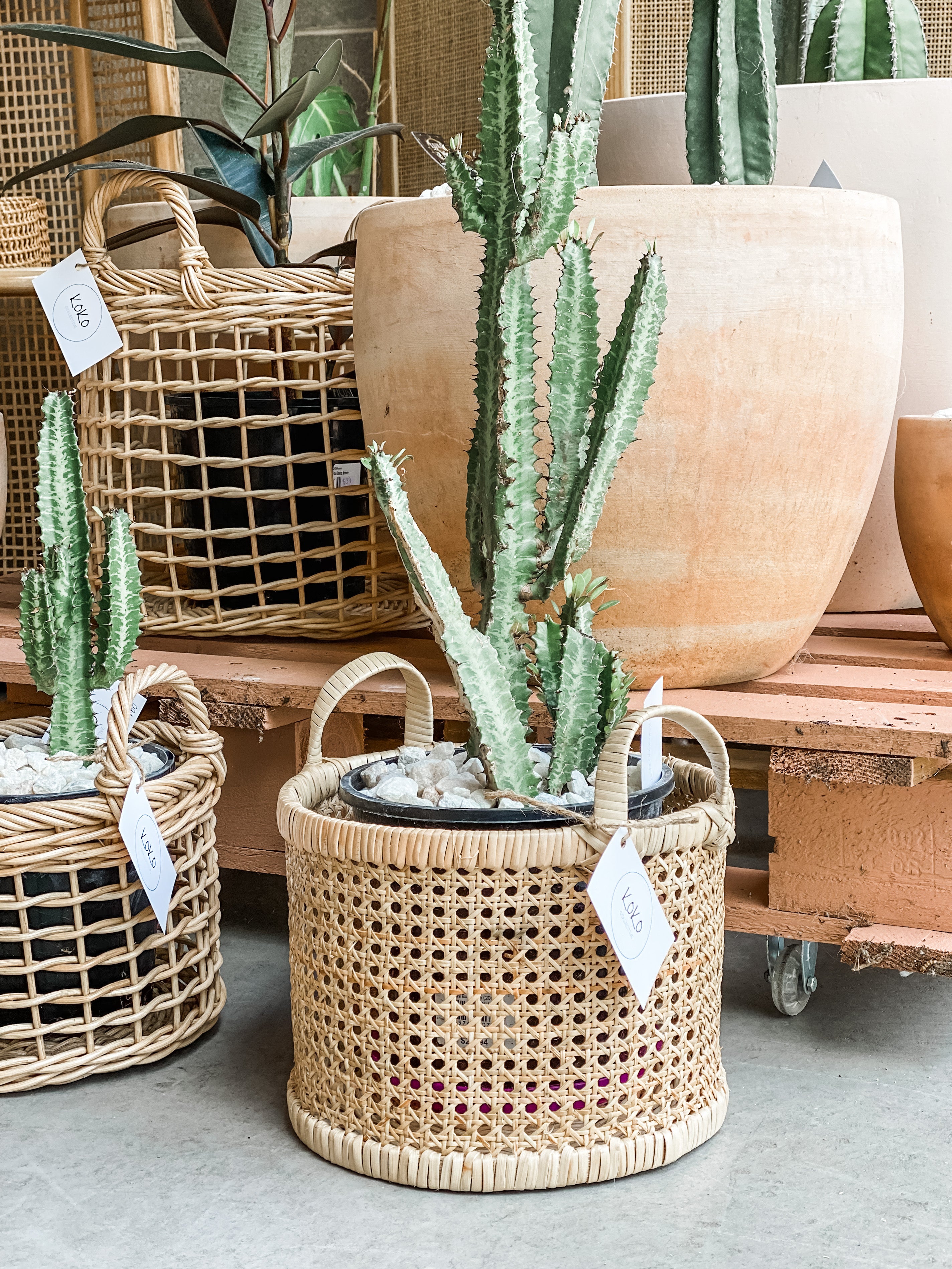 Rattan Basket
