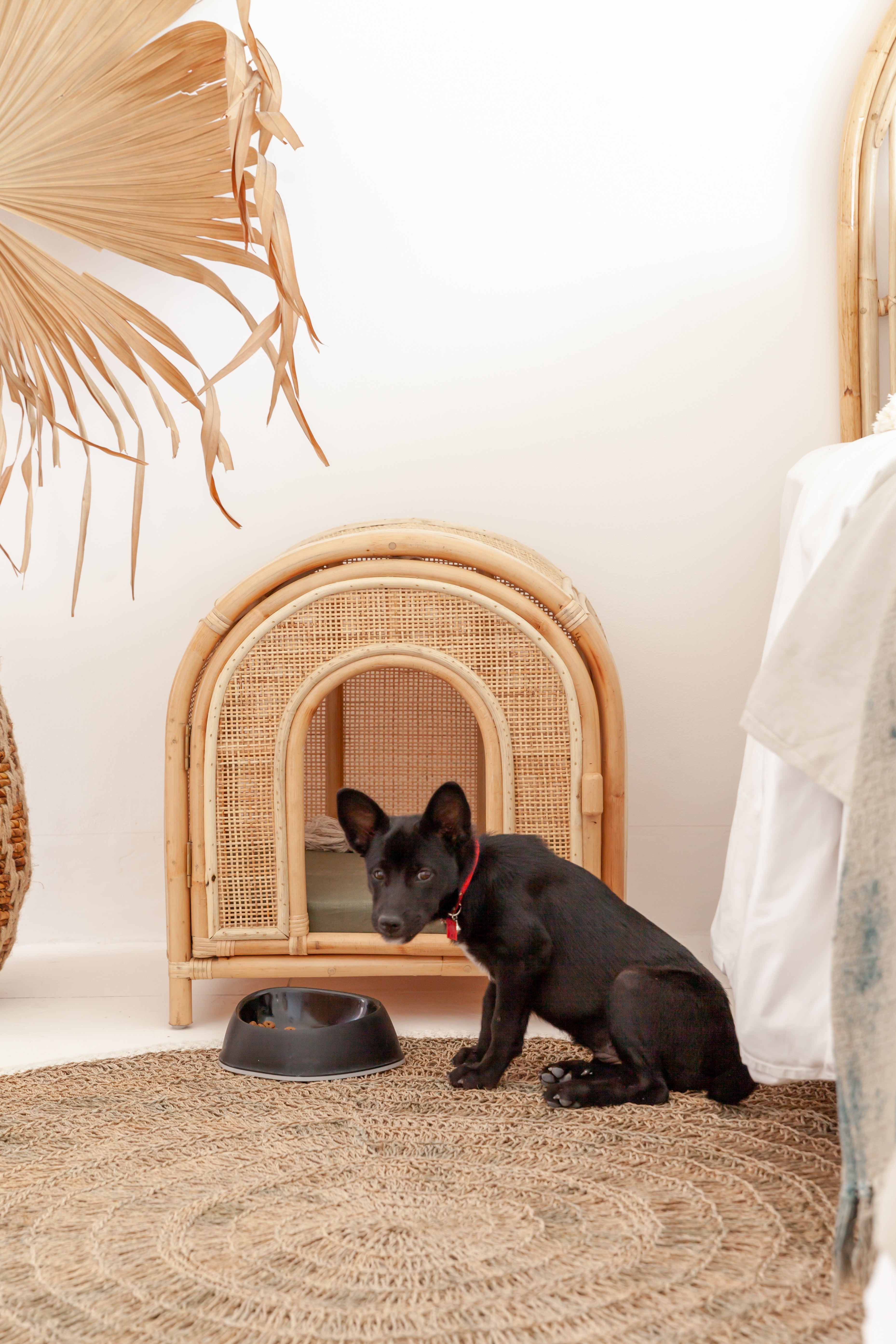 Felix Rattan Pet Bed BACK IN STOCK
