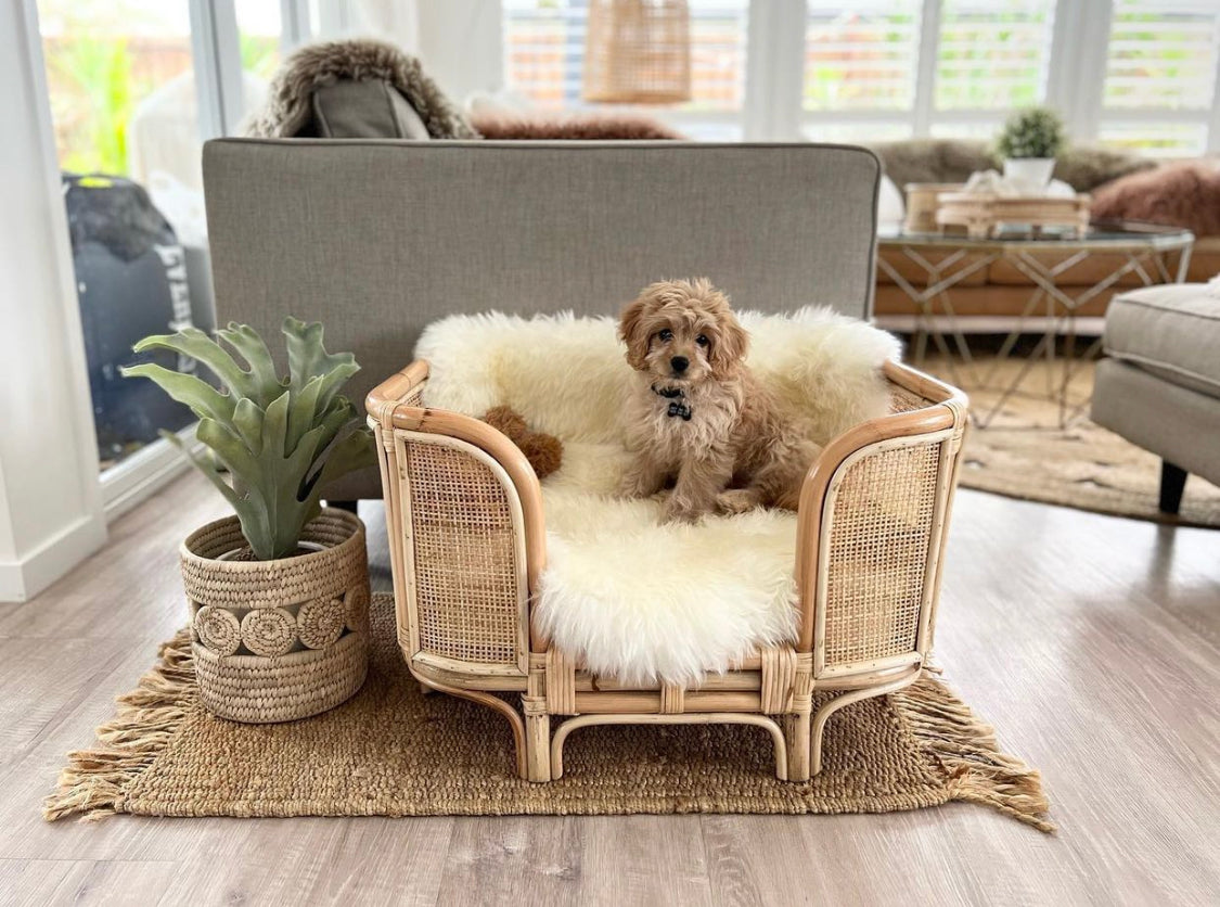 Ralf Rattan Dog Bed