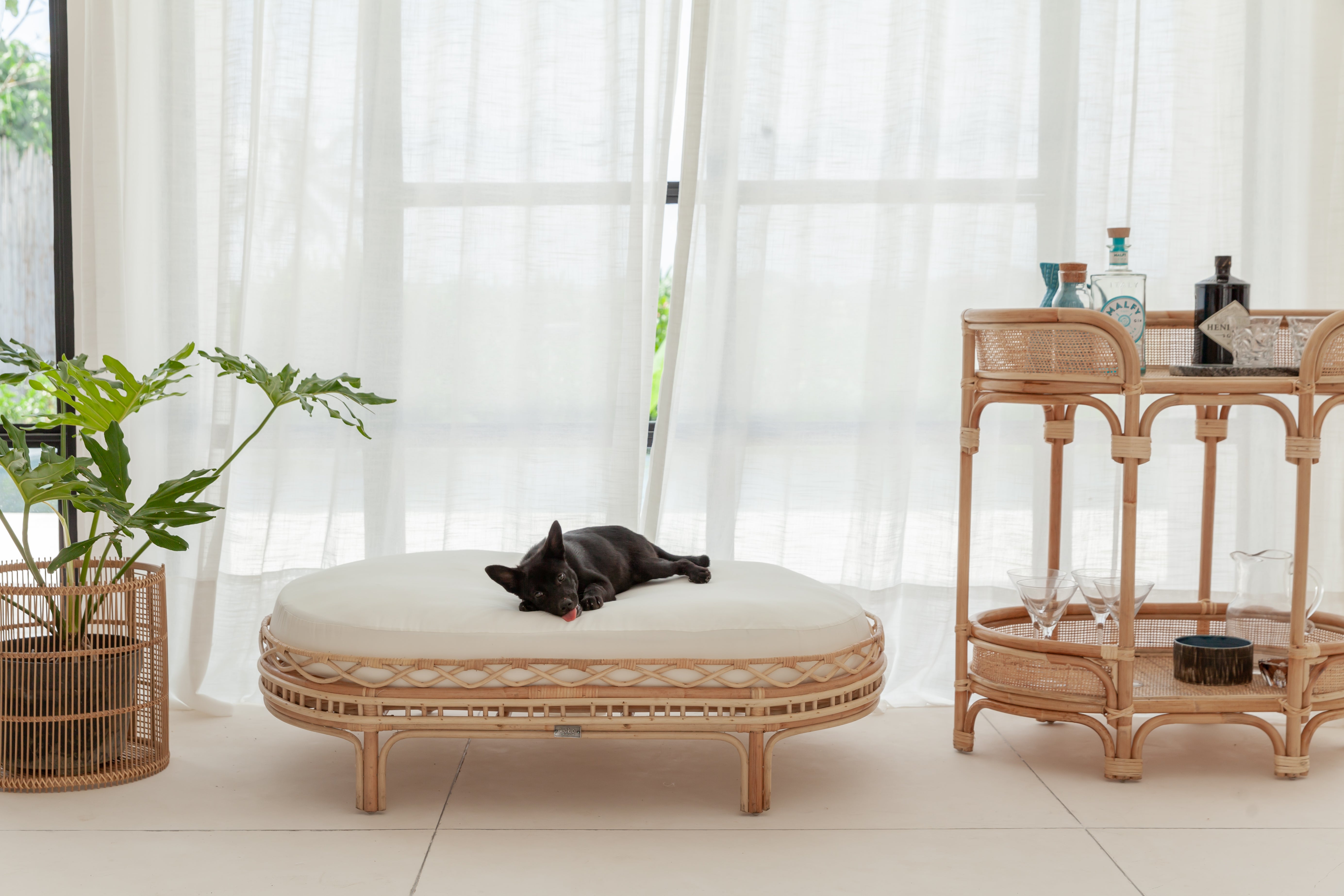 Frankie Dog Bed BACK IN STOCK