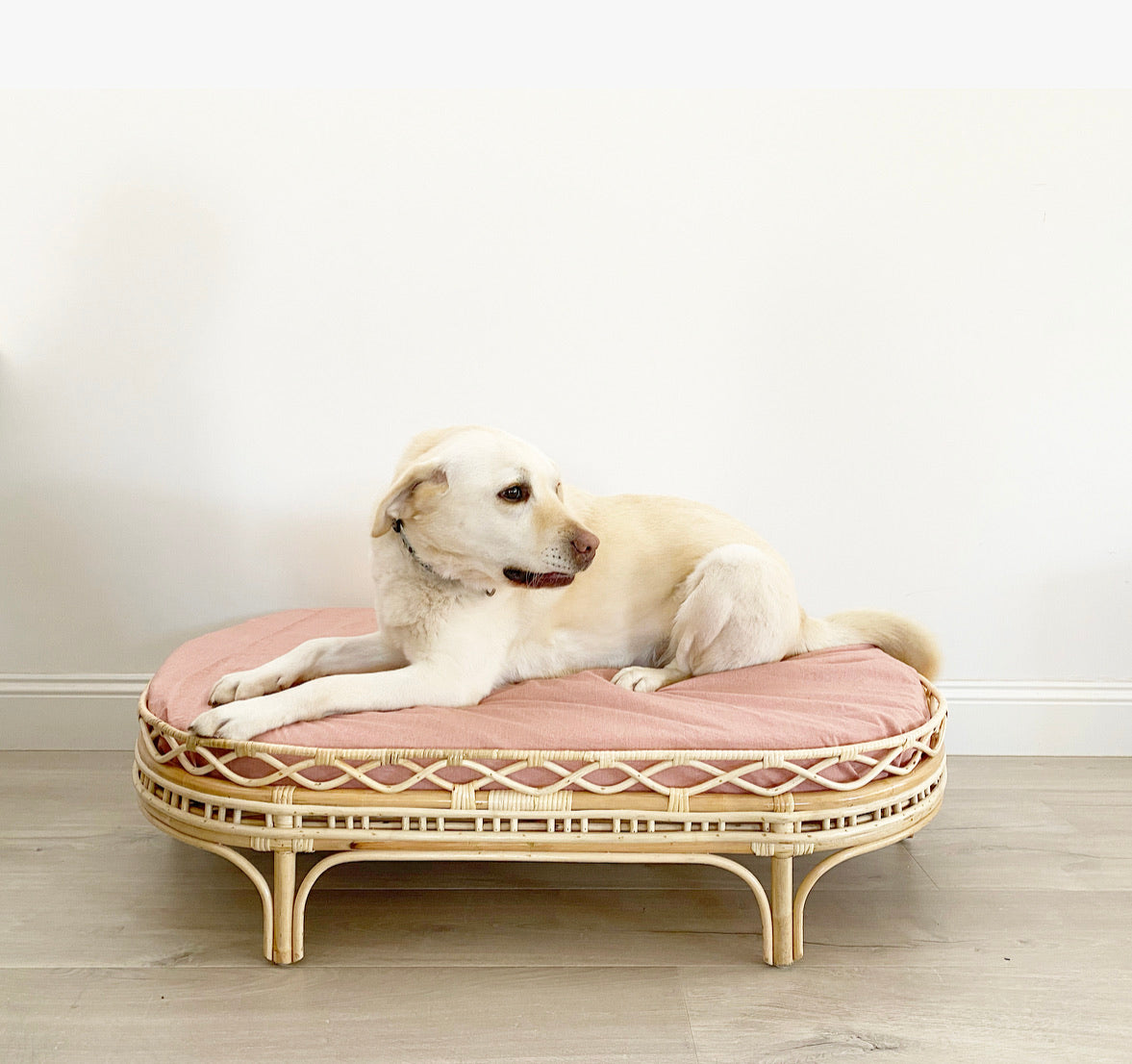 Frankie Dog Bed BACK IN STOCK