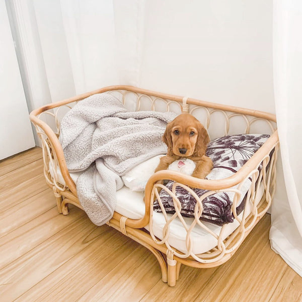 Molly Rattan Dog Bed